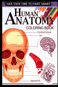 Human Anatomy Coloring Book
