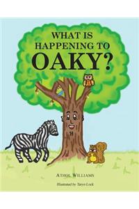 What is Happening to Oaky?