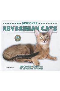 Discover Abyssinian Cats