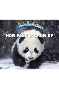 How Pandas Grow Up
