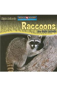 Raccoons Are Night Animals