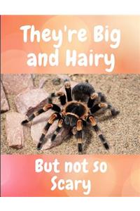 They're Big and Hairy But Not So Scary
