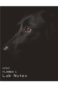 2020 Weekly, Monthly Planner & Lab Notes