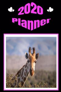 ** 2020 Planner **