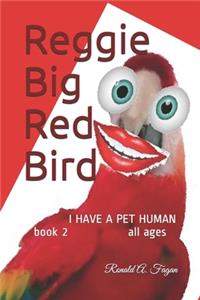 Reggie Big Red Bird