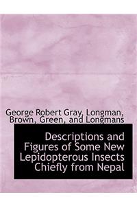 Descriptions and Figures of Some New Lepidopterous Insects Chiefly from Nepal
