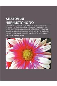 Anatomiya Chlenistonogikh