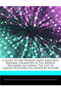 A Guide to the Worlds Most Shocking Natural Calamities in the World: Wildfires Including the List of Largest Wildfires Recorded in History