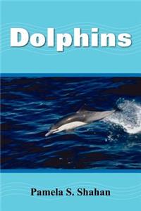 Dolphins