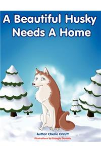 A Beautiful Husky Needs a Home