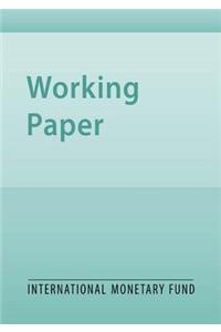 Fiscal Multipliers in Bulgaria