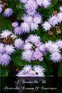 A Treatise On The Particular Examen Of Conscience