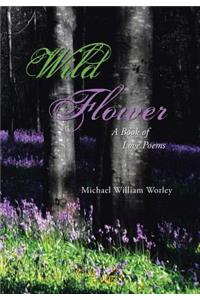 Wild Flower