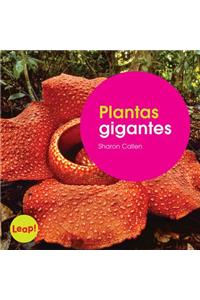 Plantas Gigantes