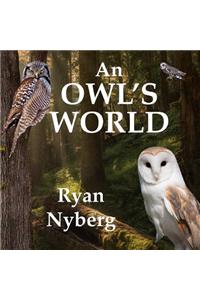 An Owl's World