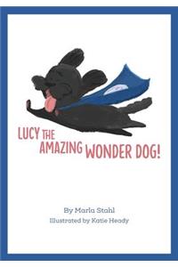 Lucy the Amazing Wonder Dog