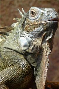Iguana Lizard Journal