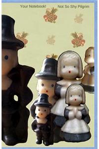Your Notebook! Not So Shy Pilgrim