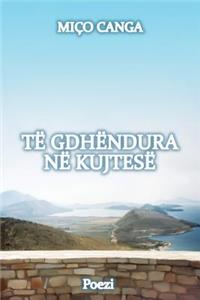 Te Gdhendura Ne Kujtese