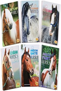 Horse Breeds