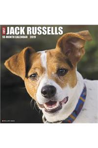 Just Jack Russells 2019 Wall Calendar (Dog Breed Calendar)