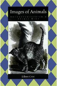 Images of Animals