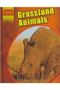 Grassland Animals