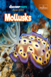 Mollusks