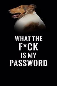 What The F*CK Is My Password, Rough Collie