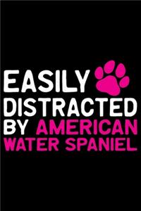 Easily Distracted by American Water Spaniel