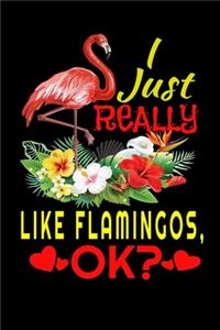 I Just Really Like Flamingos, Ok?