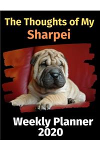 The Thoughts of My Sharpei