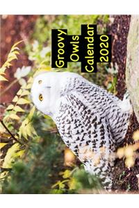 Groovy Owls Calendar 2020