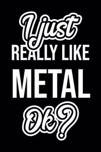 I Just Really Like Metal Ok?
