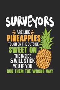 Surveyors Are Like Pineapples. Tough On The Outside Sweet On The Inside