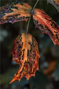 Garden Leaves in Paris France Journal