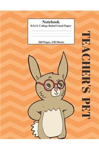 Teacher's Pet Rabbit