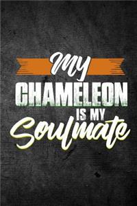 My Chameleon Is My Soulmate