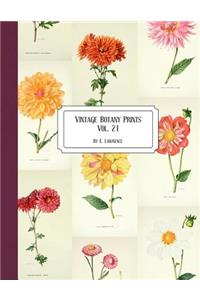 Vintage Botany Prints