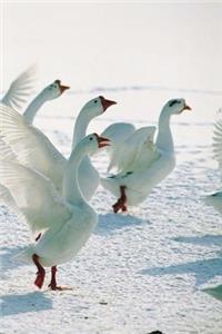 2019 Daily Planner Winter Theme Snow Geese 384 Pages