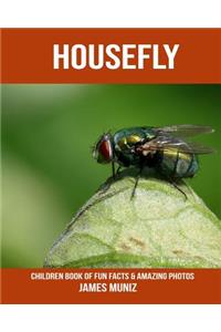Housefly: Children Book of Fun Facts & Amazing Photos