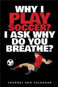 Why I Play Soccer? I Ask Why Do You Breathe?
