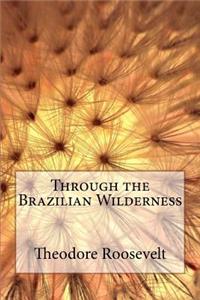 Through the Brazilian Wilderness