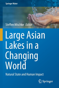 Large Asian Lakes in a Changing World