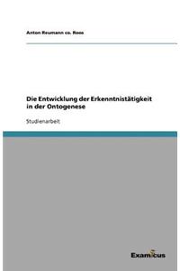 Die Entwicklung der Erkenntnistätigkeit in der Ontogenese