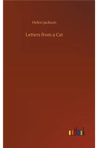 Letters from a Cat