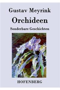 Orchideen