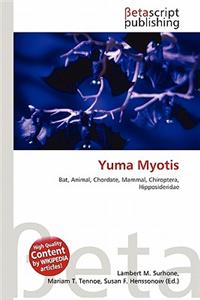 Yuma Myotis