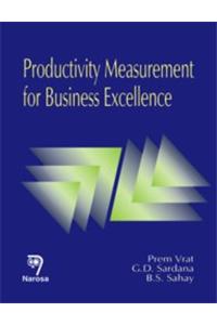 Productivity Measurement For Business Excellence