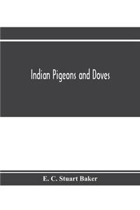 Indian pigeons and doves